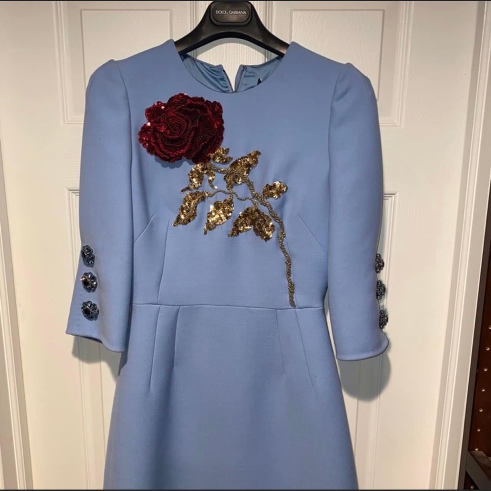 Brand New Dolce Gabbana Baby Blue Runway Embroidered Dress - Picture 5 of 7